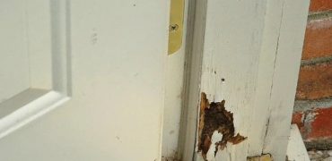 Gambar cara mengatasi rayap di kusen pintu